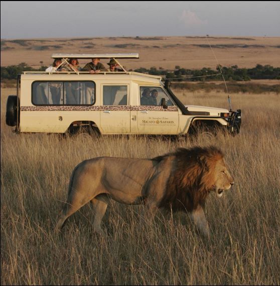Exploring Kenya: A Safari Adventure
